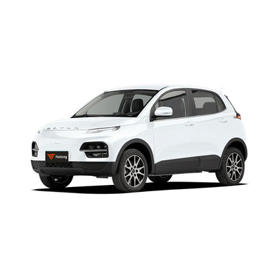 DAYUN M1 エネルギー車両 電気自動車 成人用車 高級 2023 ユーヒュー ES3 300km ロングレンジ EV