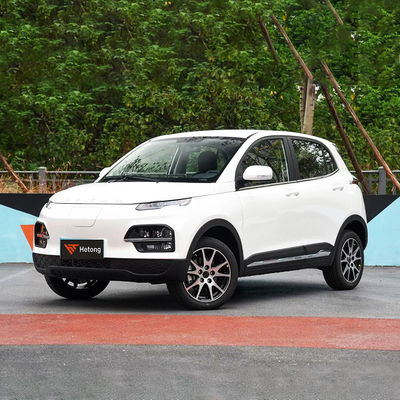 DAYUN M1 エネルギー車両 電気自動車 成人用車 高級 2023 ユーヒュー ES3 300km ロングレンジ EV