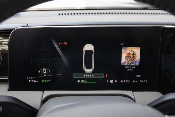 100%電動運転型 リンパオ C01 白/青または他の電気自動車の充電