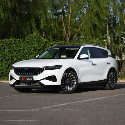 高速EV 急速充電電気自動車 VOYAH無料 2020-2023 ≥500Nm 5席