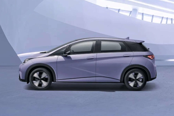 リチウム鉄リン酸電池付き 純電動Byd Haitun イルカエネルギー車