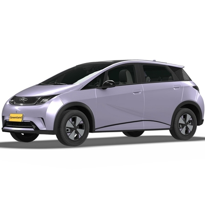 リチウム鉄リン酸電池付き 純電動Byd Haitun イルカエネルギー車