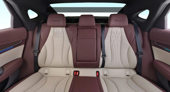 BYD SEAL EV 2023 DM-i EV 550km 標準耐久性 後部駆動 エリート マックススピード 180 Km/h