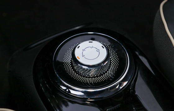 ベストセール ウーリング ビンゴ ミニ車両 電動車 2023 グリーンまたは他の4席
